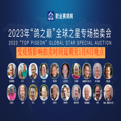 李梅龄职业信鸽人才选拨赛