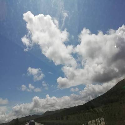 唐山市信鸽协会公告