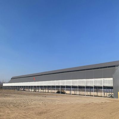 常成国际赛鸽公棚2026年规程（草案）