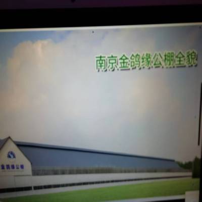 南京金鸽缘：2026年第五届章程（简版）