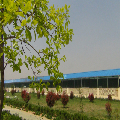 山东胜道公棚2026年第十五届赛事规程（简版）