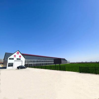 张家口蔚县龙翔赛鸽公棚2026年第十六届秋季竞赛规程 