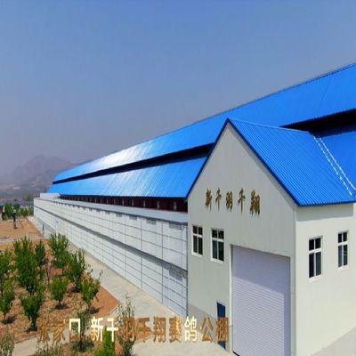 新千羽千翔公棚2026年第八届竞赛规程（简版）