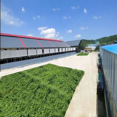 安徽太平公棚2026年第二十届春季竞赛规程（简版）