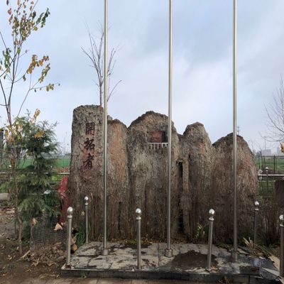 开拓者赛鸽寄养秋棚2026年比赛规程 