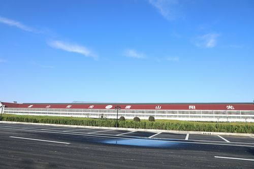 2026年唐山阳光国际赛鸽公棚竞赛规程（简章）