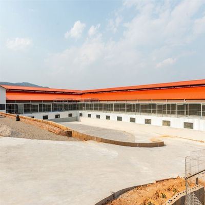 [规程]和平鸽2026第十八届竞赛规程（图片简章） 