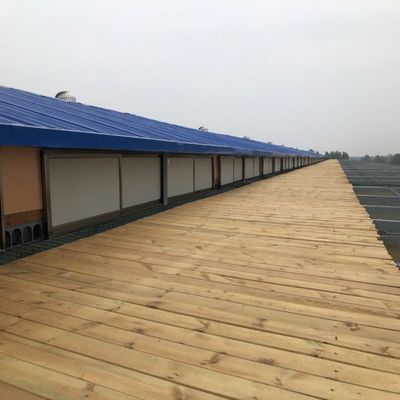 山东翔宇公棚第十四届秋季大奖赛竞赛规程（正式版）