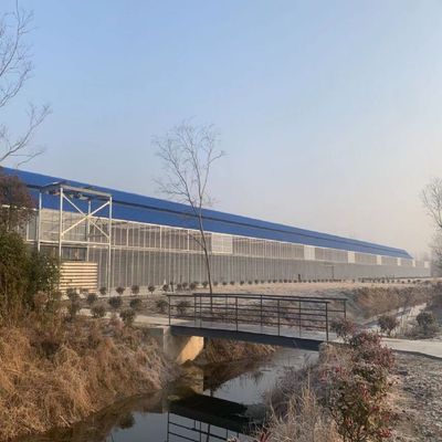 江苏弘腾赛鸽公棚：第四届秋季三关大奖赛规程（详版）