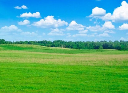 万佛赛鸽中心2026年秋赛规程（简版）