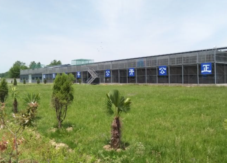 安徽淮南鹏宇赛鸽中心