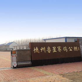 山东德州鲁星赛鸽公棚