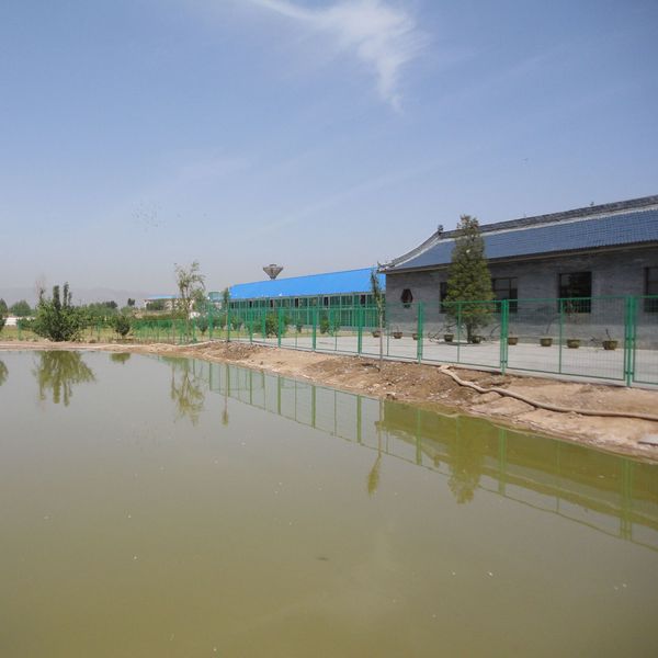 大同市彪友信鸽公棚