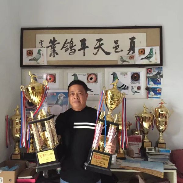 天平鸽舍-司贤坤