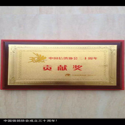 中国信鸽协会三十周年贡献奖